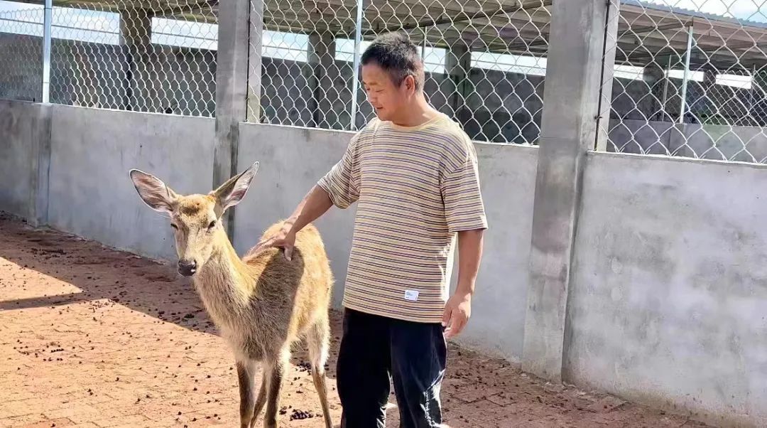 长龙捕鱼没有什么支付方式